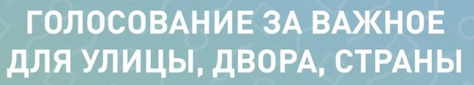 Голосование за важное для улицы, двора, страны.